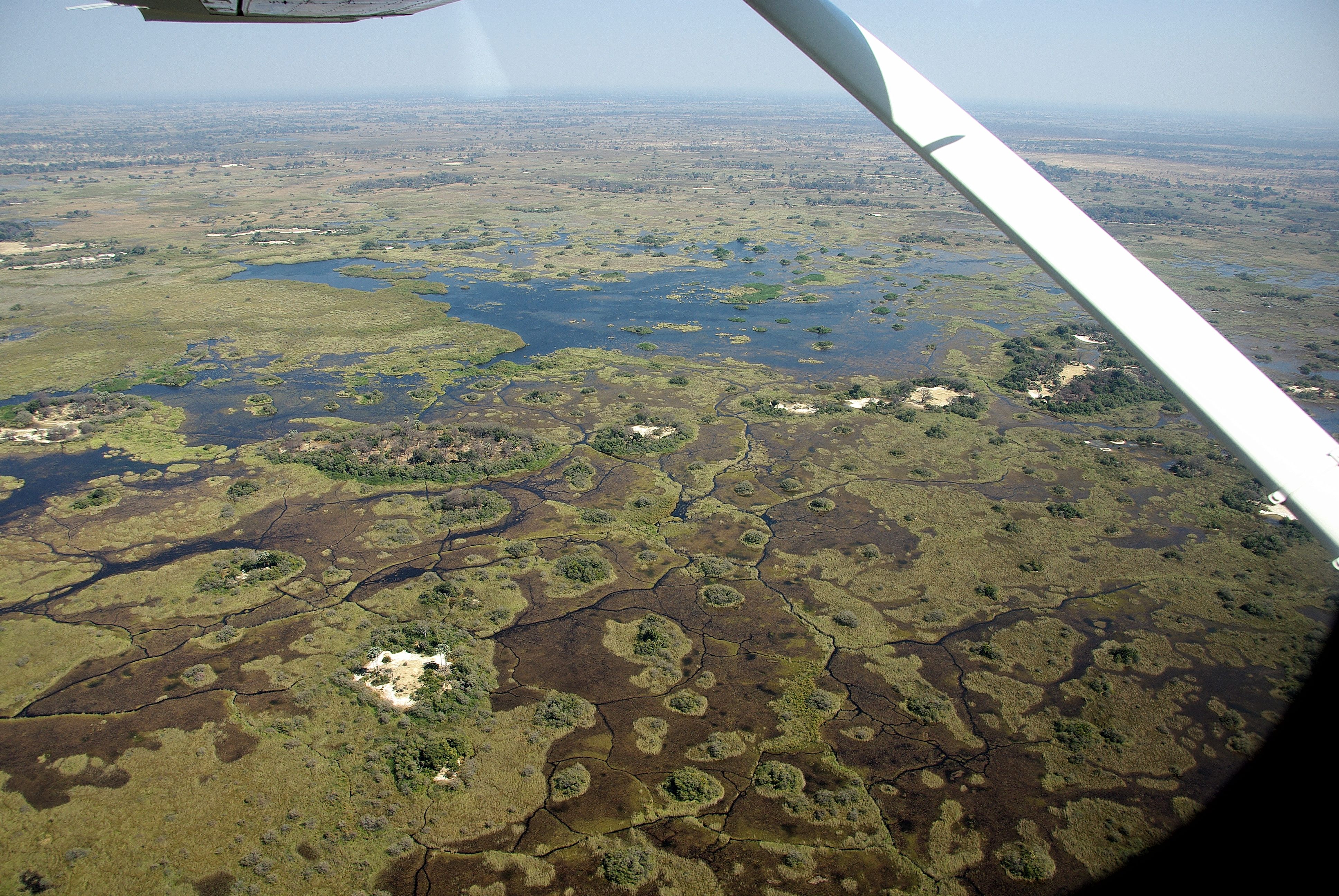 Le Delta de l'Okavango vu des airs début Aout à l'approche de Moremi Game Reserve.